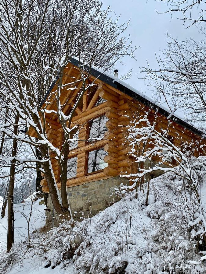 Chalet Pidstromom Микуличин Екстер'єр фото
