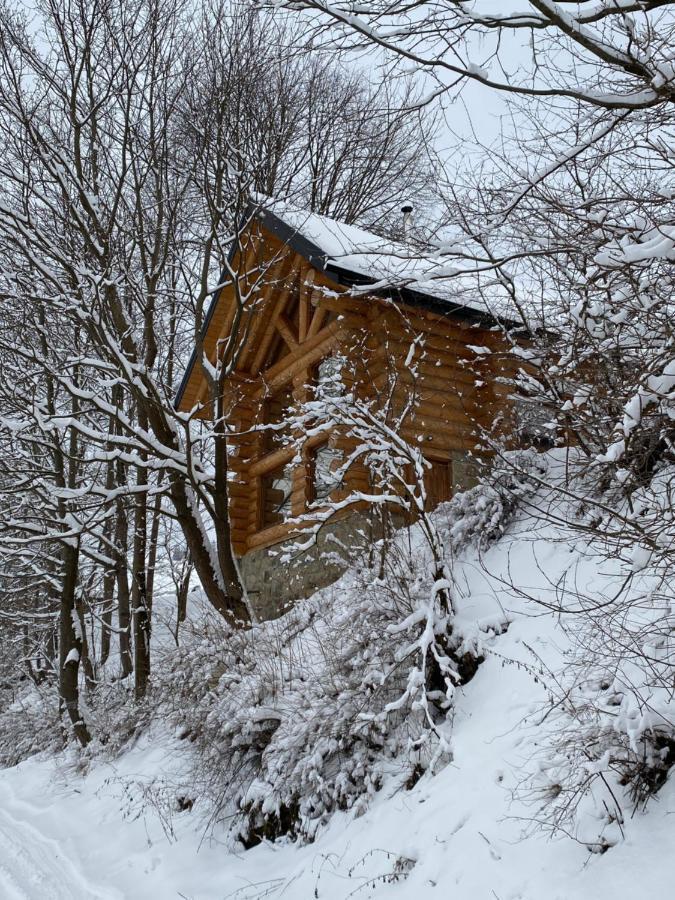 Chalet Pidstromom Микуличин Екстер'єр фото