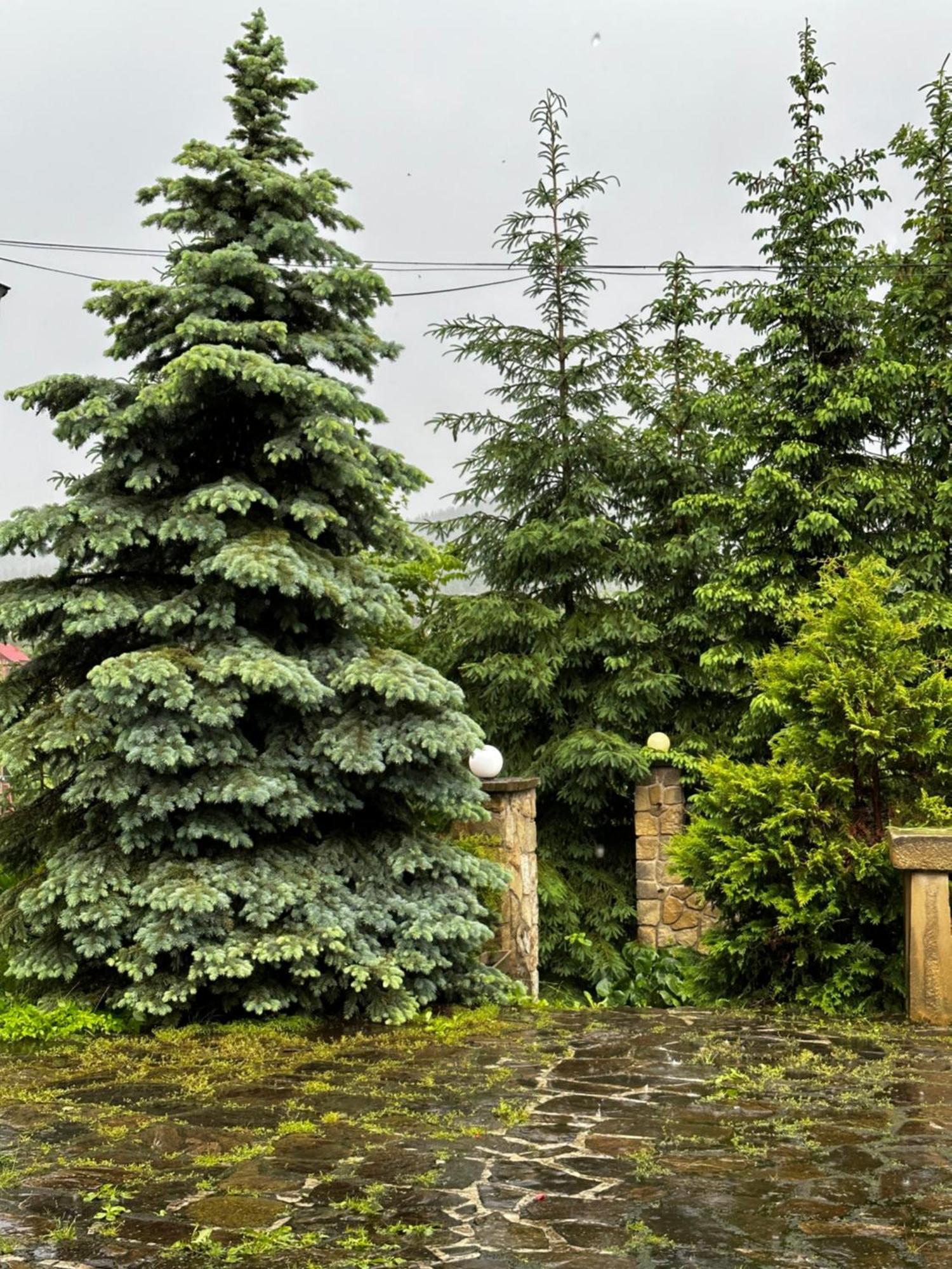 Chalet Pidstromom Микуличин Екстер'єр фото